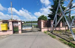 Vilă cu 5 camere, 280 mp, livadă pe rod, zona Valea Voievozilor