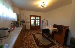 Vilă cu 5 camere, 280 mp, livadă pe rod, zona Valea Voievozilor