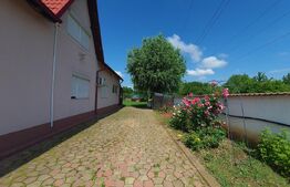 Vilă cu 5 camere, 280 mp, livadă pe rod, zona Valea Voievozilor