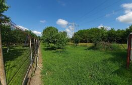 Vilă cu 5 camere, 280 mp, livadă pe rod, zona Valea Voievozilor