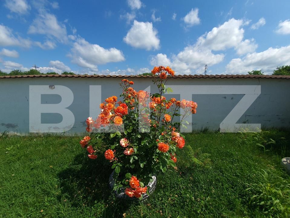 Casa de vânzare 5 camere Valea Voievozilor - 197128CV | BLITZ Târgoviște | Poza10