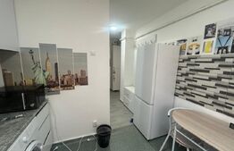 Garsoniera, 28 mp, parter, toate utilitaile, zona Micro 12 