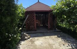 Casă și curte, 124 mp, 1.000 mp, zona Mircea Voda