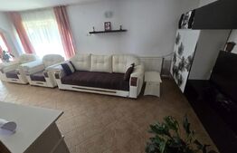 Casă și curte, 124 mp, 1.000 mp, zona Mircea Voda
