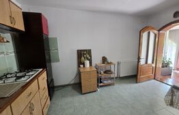 Casă și curte, 124 mp, 1.000 mp, zona Mircea Voda