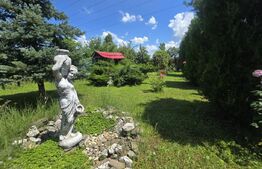 Casă și curte, 124 mp, 1.000 mp, zona Mircea Voda