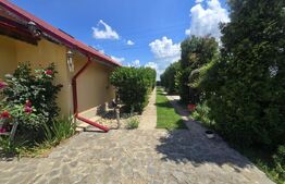 Casă și curte, 124 mp, 1.000 mp, zona Mircea Voda