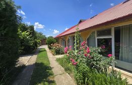 Casă și curte, 124 mp, 1.000 mp, zona Mircea Voda