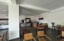 Spatiu comercial, 300 mp, cartier Priseaca 