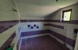 Vilă D+P+M | 784 mp teren | Pucioasa 
