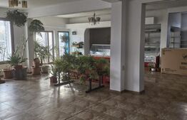 Spațiu comercial, 200 mp, zona Gura Ocniței