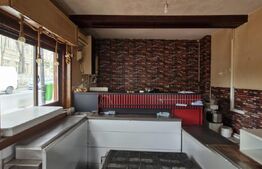 Spațiu comercial de închiriat, 45 mp, zona Calea Domnească