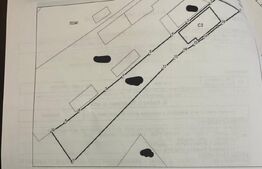 Spațiu Comercial + Teren 1.000 mp | Investiție cu Chiriaș- Slobozia Moara DB