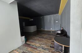 Spațiu Comercial + Teren 1.000 mp | Investiție cu Chiriaș- Slobozia Moara DB