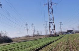 Teren extravilan 5.000 mp | Deschidere 15,79 m | Acces DN7 | Utilități la limită