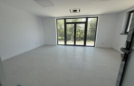Hala industriala cu birouri P+1, 512 mp, zona Ulmi