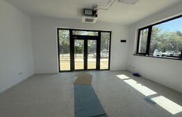 Hala industriala cu birouri P+1, 512 mp, zona Ulmi
