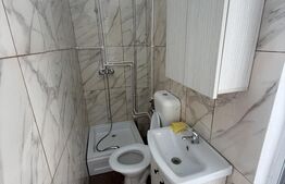 Spațiu comercial sau locuință, 18 mp, zona Centrală - Voinești
