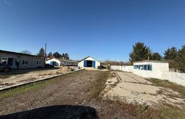 Hală 700 mp + Spațiu Comercial și Birouri, Curte 5000 mp, zona Mănești