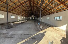 Hală 700 mp + Spațiu Comercial și Birouri, Curte 5000 mp, zona Mănești