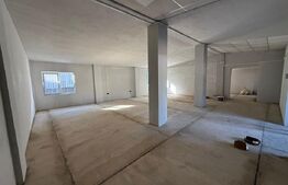 Hală 700 mp + Spațiu Comercial și Birouri, Curte 5000 mp, zona Mănești