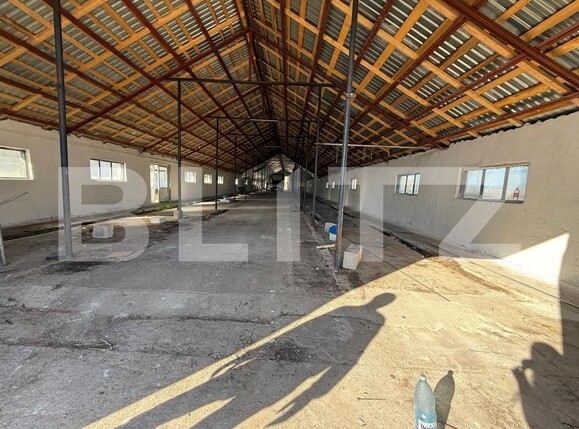 Spațiu industrial de închiriat Manesti - 198362SII | BLITZ Târgoviște | Poza6
