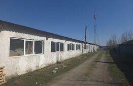 Hală producție/depozitare 1200 mp cu teren 2680 mp – acces rapid DN7