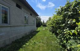Casă 65 mp, teren de 1.500 mp, zona Titu
