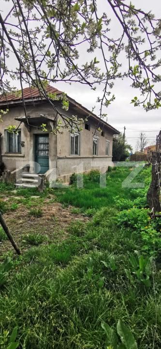 Casa de vânzare 3 camere Titu - 198471CV | BLITZ Târgoviște | Poza5