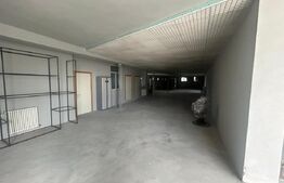 Hala toate utilitatile | 500 mp | Razvad 