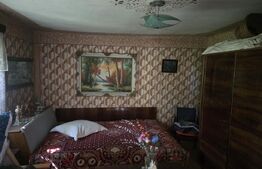 Casă bătrânească, 51 mp, curte 1.100 mp, orașul Titu