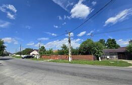Casă bătrânească, 51 mp, curte 1.100 mp, orașul Titu