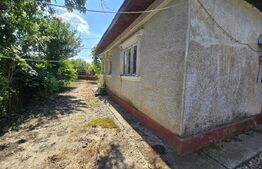 Casă bătrânească, 51 mp, curte 1.100 mp, orașul Titu
