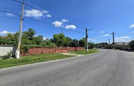 Casă bătrânească, 51 mp, curte 1.100 mp, orașul Titu