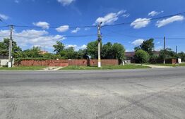 Casă bătrânească, 51 mp, curte 1.100 mp, orașul Titu