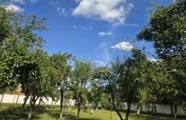 Teren intravilan de 1.227 mp, împrejmuit, în Titu