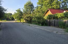 Casă renovare completă, 55 mp, curte de 385 mp, orașul Titu-Plopu