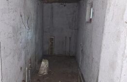 Casă renovare completă, 55 mp, curte de 385 mp, orașul Titu-Plopu