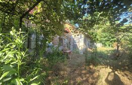 Casă renovare completă, 55 mp, curte de 385 mp, orașul Titu-Plopu