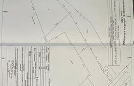 Teren intravilan, 2966 mp – 3 loturi cu deschidere la DN72A | Malu cu Flori