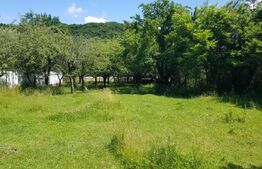 Teren intravilan, 2966 mp – 3 loturi cu deschidere la DN72A | Malu cu Flori