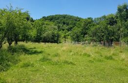 Teren intravilan, 2966 mp – 3 loturi cu deschidere la DN72A | Malu cu Flori