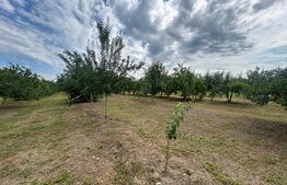Teren intravilan, 6796 mp, zona Crangurile de Jos