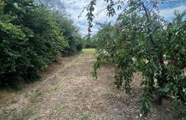 Teren intravilan, 6796 mp, zona Crangurile de Jos