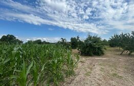 Teren intravilan, 6796 mp, zona Crangurile de Jos