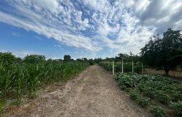 Teren intravilan, 6796 mp, zona Crangurile de Jos