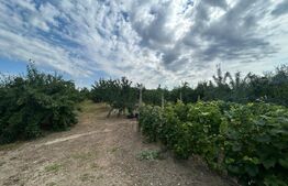 Teren intravilan, 6796 mp, zona Crangurile de Jos