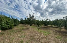 Teren intravilan, 6796 mp, zona Crangurile de Jos