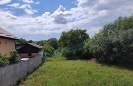 Teren 830 mp, zona Pucioasa – Ideal pentru Casă sau Investiție