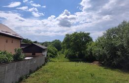 Teren 830 mp, zona Pucioasa – Ideal pentru Casă sau Investiție